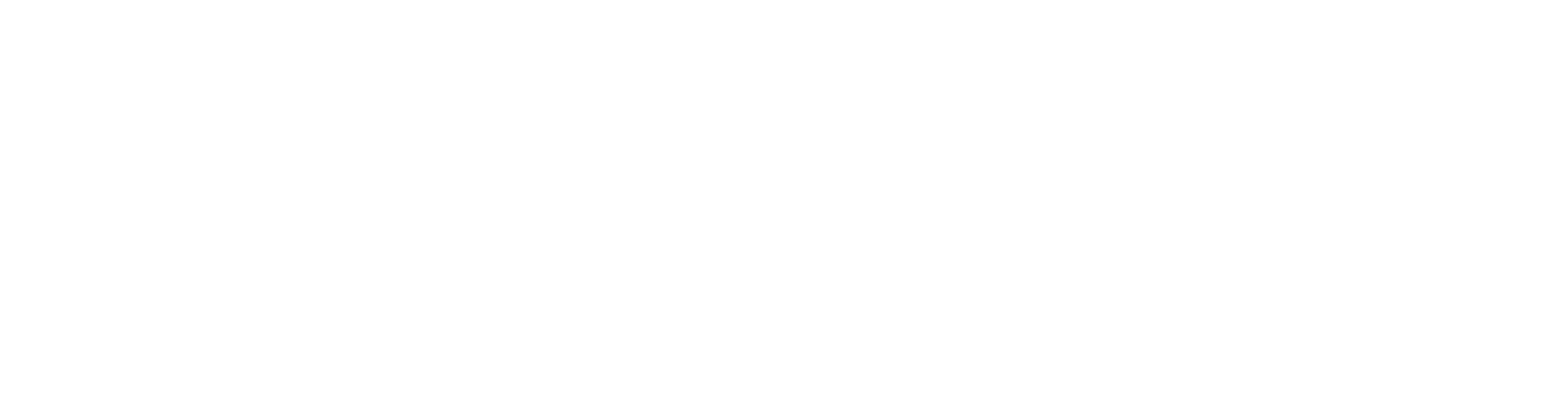 EmergencyForge Logo